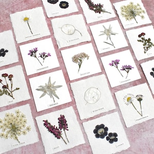 kleine Bilder mit echten Rosen, Edelweiß, Reisblume, Anemone, Pelargonie, Kümmel, Lesezeichen, Tischkarten, Herbariumkarten