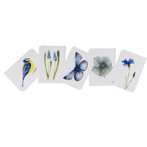 5 Postkarten, blauer Frühling 2, Aquarellzeichnungen, Blüten und Tiere, Blaumeise, Muscari, Bläuling, Hortensie, Kornblume, Karten der Natur