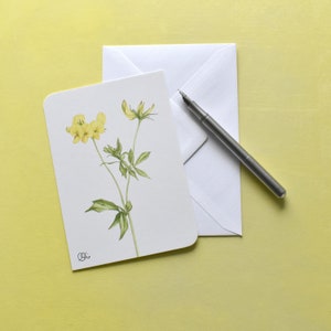 Hornklee auf Postkarte, Aquarellzeichnung, Klee, gelbe Blütenpostkarten, Botanische Kunstkarten, gemalte Sommermotive, Christine Wiegelmann