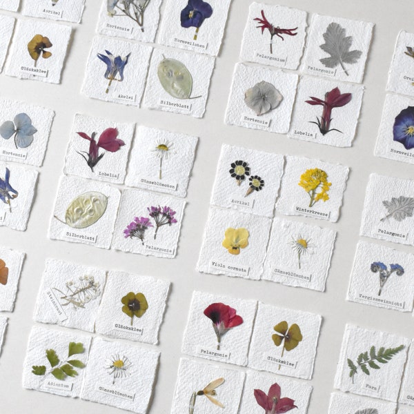 4 handgefertigte, echte Blütenbilder, Herbarium, Gänseblümchen, Kräuter, Hortensie, Farn, getrocknete Blumen, Lesezeichen, Tischkärtchen
