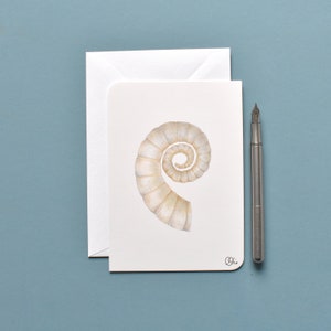 Maritime Posthörnchen Postkarte in creme-weiß, Din A6, Aquarell als gedrucktes Wandbild für Meeresbiologen, Grußkarte mit Meeresschnecke