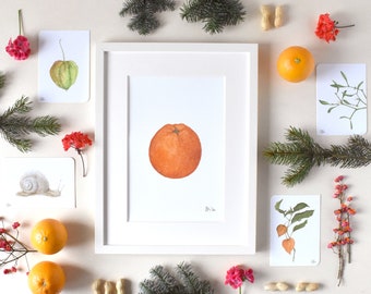 Kunstdruck mit Orange, Apfelsine als Wandbild, pure Pflanzenbilder als Wanddekoration, Botanische Kunst, Frucht, Weihnachtsdeko, orange