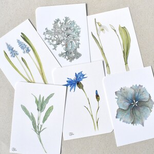 6 schlichte Postkarten mit Pflanzenzeichnungen blau-grau-grünen, Kunstkarten Blüten, Kornblume, Traubenhyazinthe, Schneeglöckchen, Hortensie