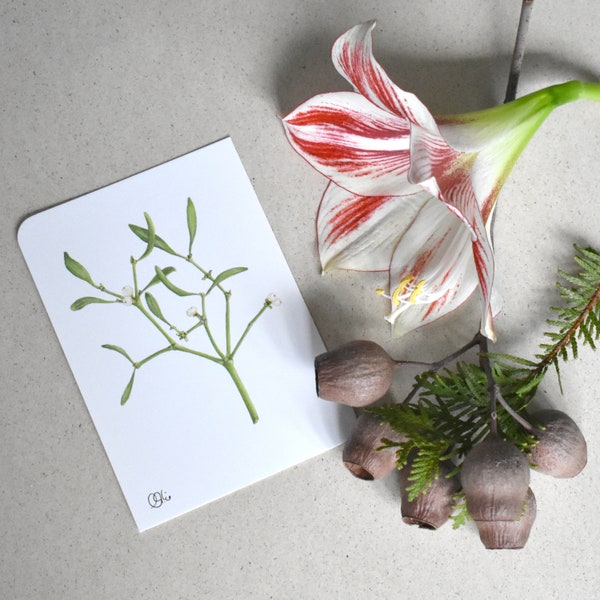 Mistel als Postkarte zu Weihnachte, Karten mit Naturmotiven, Kundengeschenke, Weihnachtspost, schlicht und schön