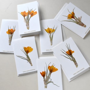 Karte mit Trockenblumen, Krokus-Karte, orange, Frühlingskarten mit echten Blüten, Herbarium Grußkarten, Frühlingsblumen, Wanddekoration