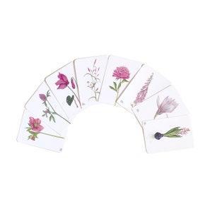 rosa-pinke Blütenpostkarten im 8er-Set - fröhliche Blumenillustrationen als Karten oder kleine Wandbilder, Pfingstrose, Fingerhut, Magnolie