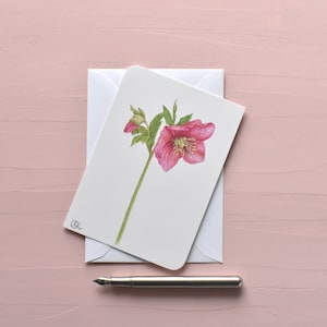 zarte Blütenpostkarte mit rosa Nieswurz in Din A6, Helleborus Grußkarte in rosa-grün, wissenschaftliche Illustration als kleines Wandbild