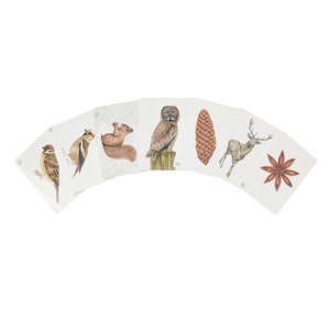 beige-braune Postkarten im 7er-Set mit Waldtieren & Pflanzen, Din A6 Kunstkarten mit Eichhörnchen, Hirsch, Eule, Kernbeißer, Spatz und Anis