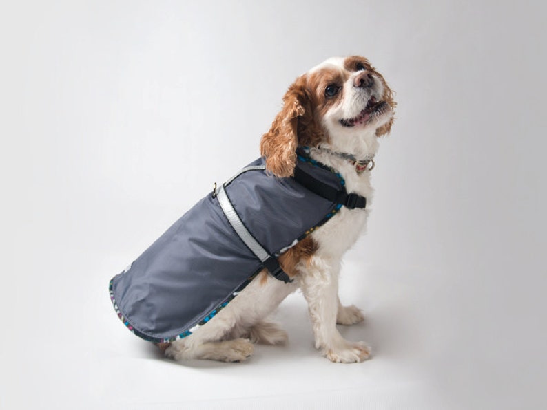 Waterproof Dog Coat with built in Harness Black/Grey Teacup to Etsy