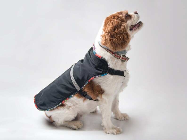 Waterproof Dog Coat with built in Harness Black/Grey Teacup to Etsy