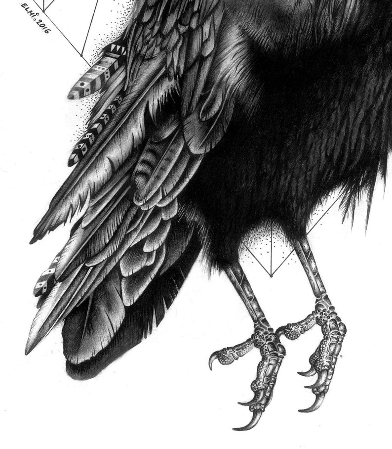 Cuervo cuervo arte ilustración dibujo lápiz de grafito
