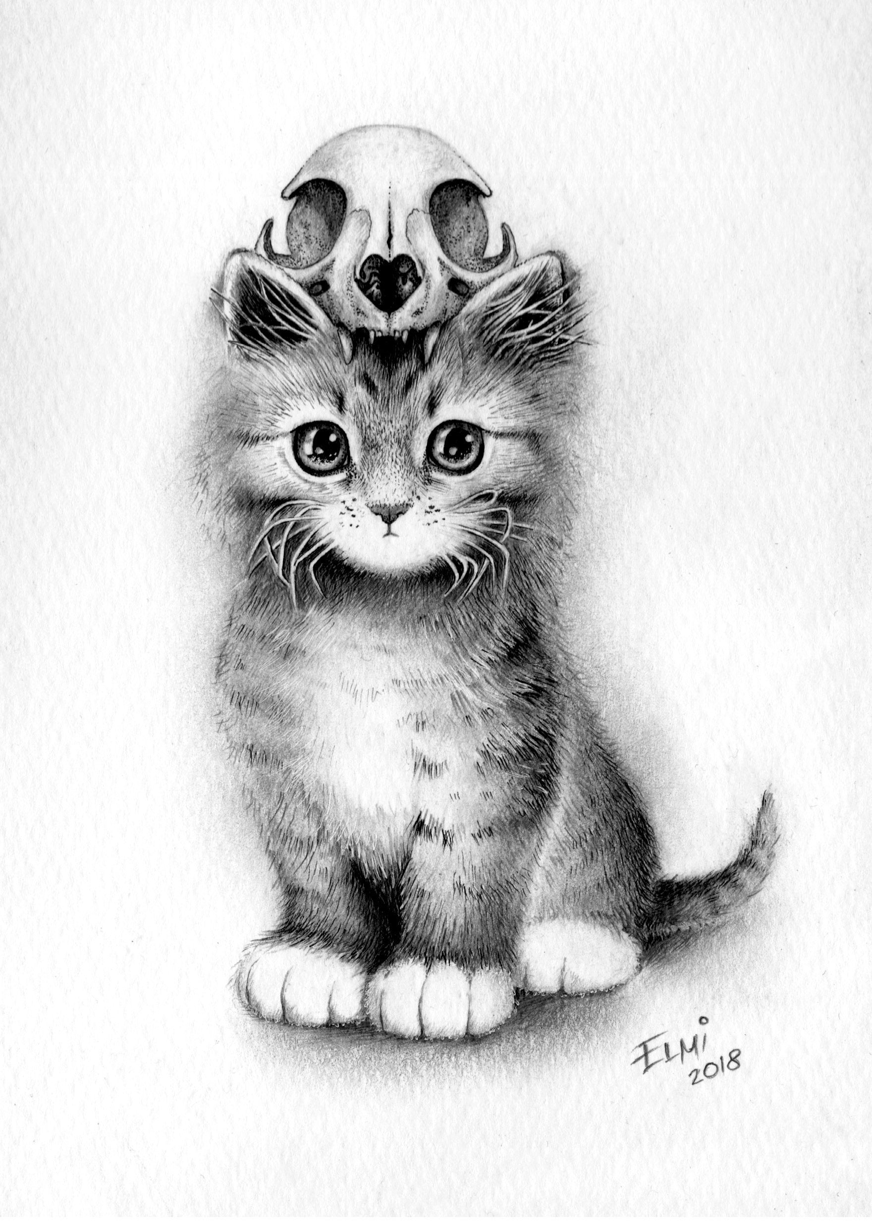 Goth Kitten Kat Schedel Miniatuur Tekening Schets Illustratie Heks ..., حجم الصورة 1760x2465