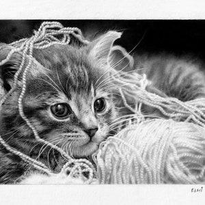 Kitten Kitty Cat Pussycat Graphite Pencil Drawing Print Realistic Hyperrealism Cute Adorable Kawaii Animal Pet Portrait Black & White Gift