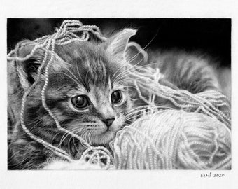 Kitten Kitty Cat Pussycat Graphite Pencil Drawing Print Realistic Hyperrealism Cute Adorable Kawaii Animal Pet Portrait Black & White Gift