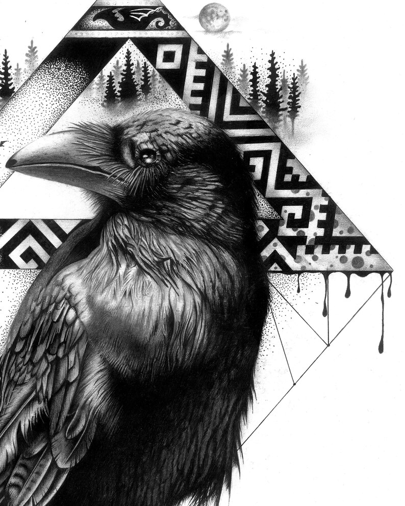 Cuervo cuervo arte ilustración dibujo lápiz de grafito