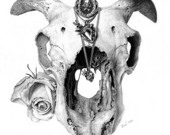 Goat Animal Skull Rose Still Death Macabre Graphite Pencil Ink Pen Hyperrealism Photorealism Drawing Print Occult Pagan Wicca Goth Taxidermy