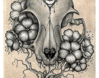 Cat Skull Pencil and Pen Drawing Print