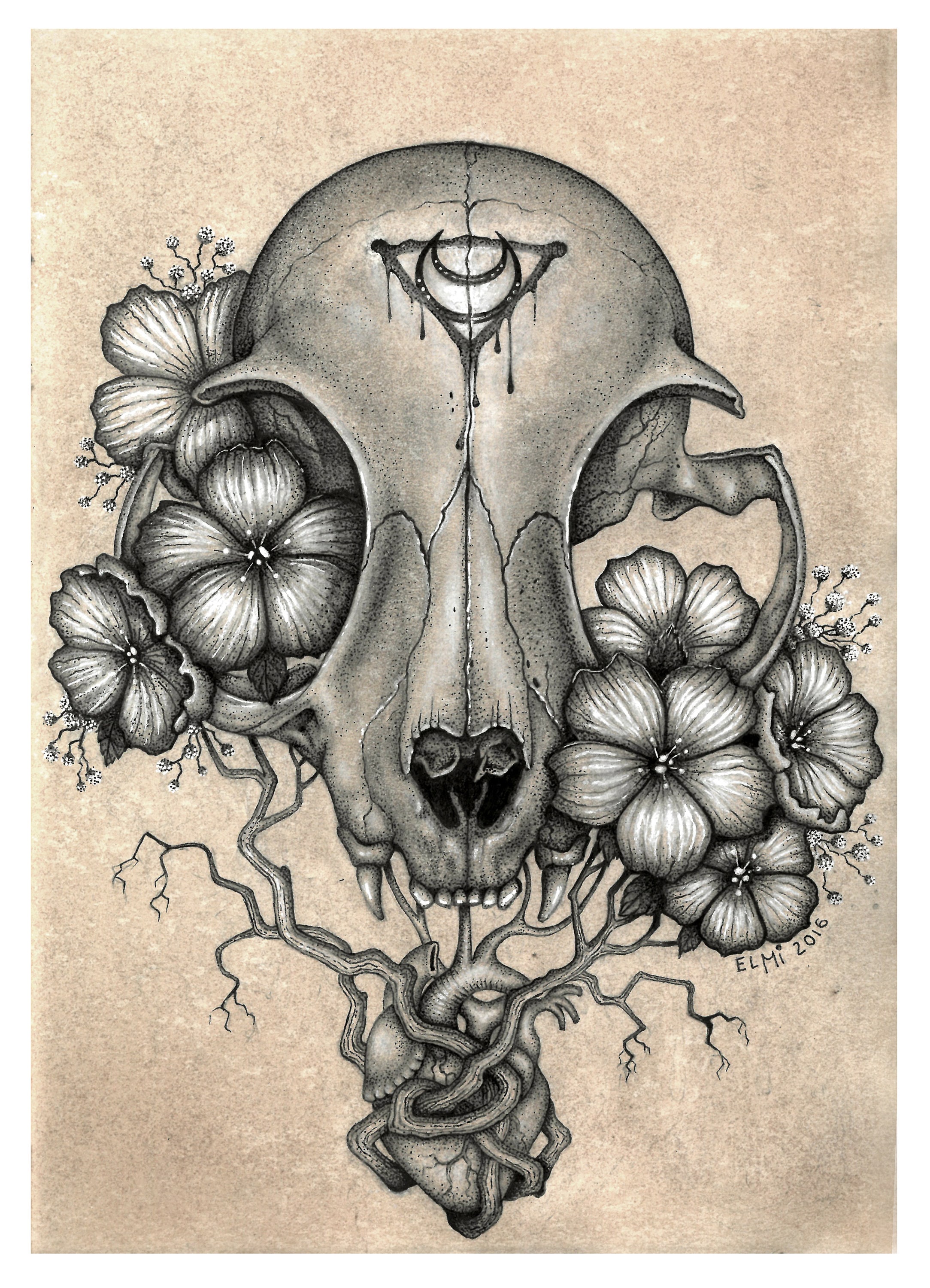domestic cat skull head vector illustration Stock Vector Image & Art - Alamy