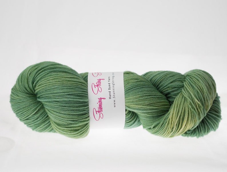 Baby Greens Stunning Superwash Fingering Weight 100% Superwash Merino 100 g 475 yds image 1