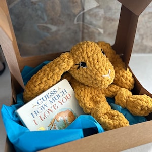 Ensemble cadeau lapin et livre fait main en chenille super douce au crochet - cadeau nouveau-né, cadeau bébé, cadeau de Pâques