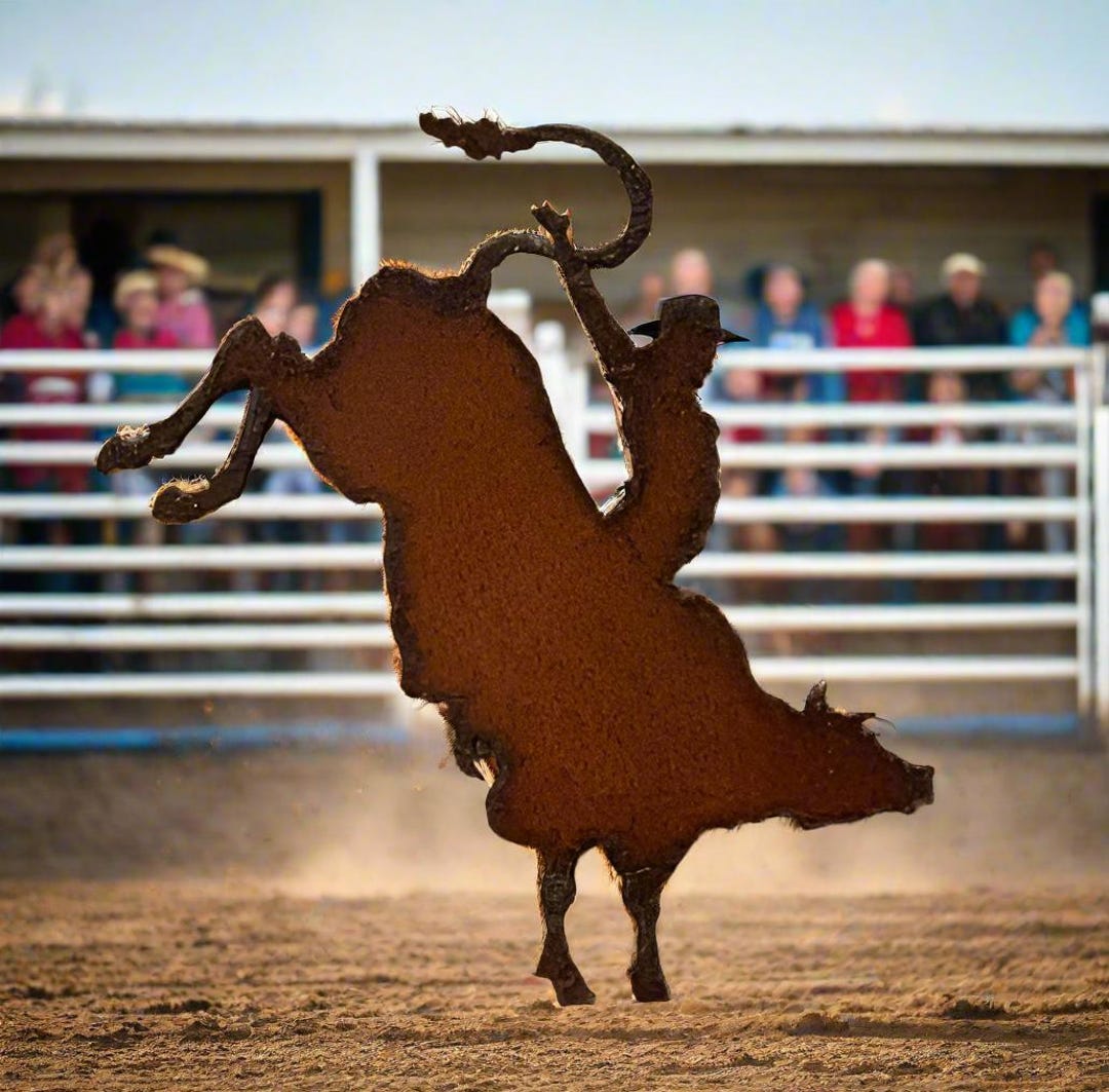Bull Rider Rodeo Western Magnet - Etsy