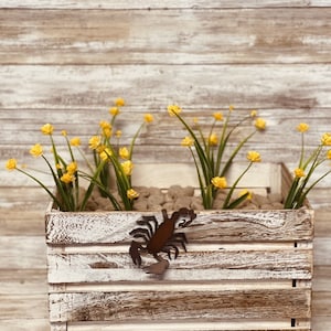 May include: A whitewashed wooden crate planter with a metal scorpion design on the front. The planter is filled with small yellow flowers and green foliage.