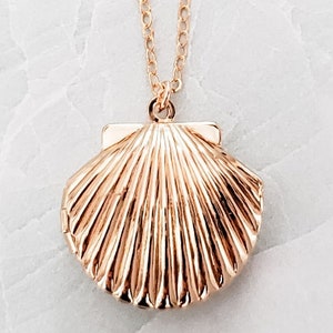 Seashell Locket Necklace: Vintage Scallop, 14k Gold Filled Chain