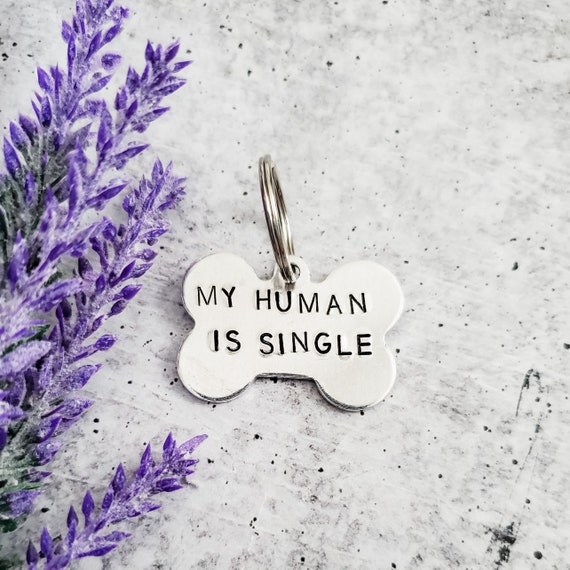 My Human is Single Dog Bone Tag