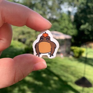 Mini Pumpkin Hat Frog Toad Sticker