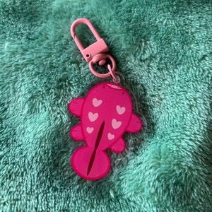 Pink Clodsire Keychain