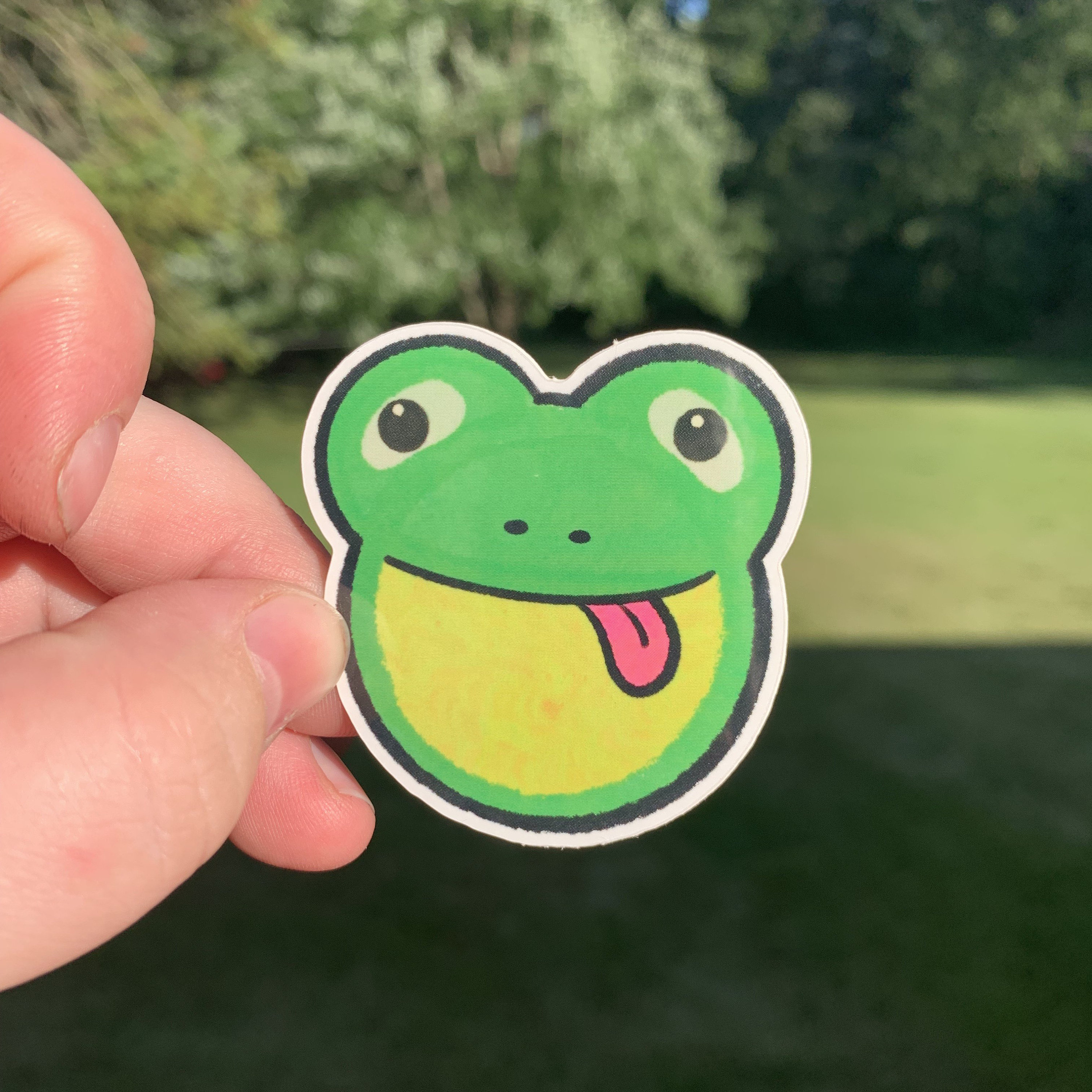 The long awaited froggy plate is finally here! 🐸 #zoopals #90s #nosta