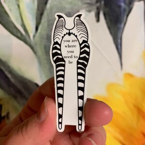 You Are Where You Need To Be Shaak Ti sticker