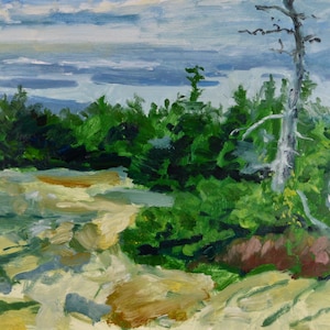 Original Oil Painting, Maine Landscape, Cadillac Mountain View, by Robert Lafond