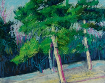 Original Pastel Painting, Pine Trees, Landscape, Winter, Washington Crossing Park, by Robert Lafond