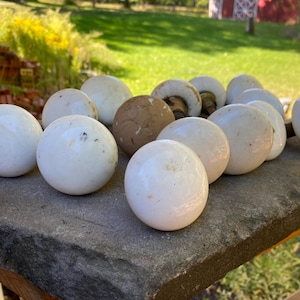 May include: A collection of round door knobs featuring smooth white porcelain surfaces and one singular brown textured knob. Each knob is spherical in shape with a metallic base attachment visible on some, displaying signs of age and wear.