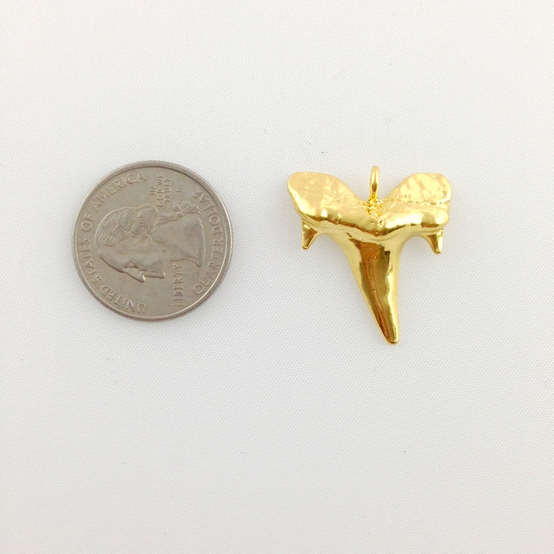 Shark Tooth Charm Gold Shark Tooth Shark Tooth Pendant Sea - Etsy