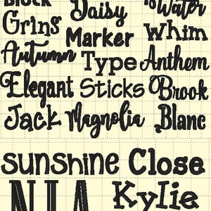 May include: A black and white image with a grid pattern background. The image contains a list of names written in a stylized font. The names include: St&aring;rkish, Ladybird, FISH, Block, Grins, Marker, Whim, Daisy, Water, Autumn, Type, Anthem, Elegant, Sticks, Brook, Jack, Magnolia, Blanc, sunshine, Close, Kylie, Baxter.