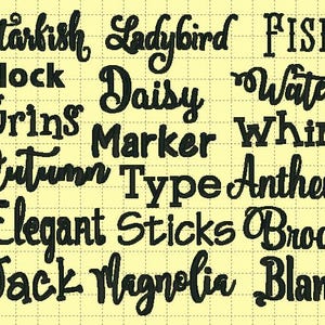 May include: A collection of words written in a cursive font, including "Starfish", "Ladybird", "Fish", "Block", "Daisy", "Water", "Grins", "Marker", "Whim", "Autumn", "Type", "Anthem", "Elegant", "Sticks", "Brook", "Jack", "Magnolia", and "Blane".