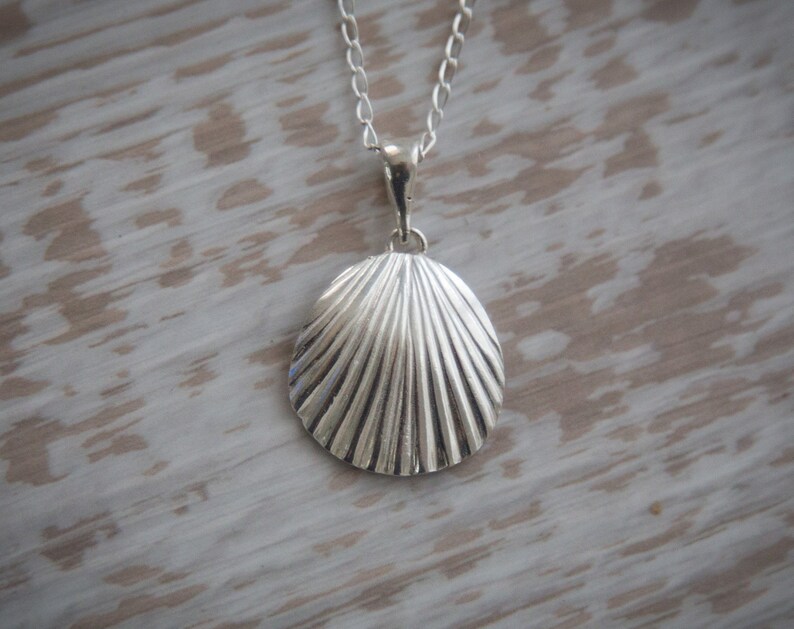 Seashell Pendant Necklace in Sterling Silver, Silver Seashell, Sea ...