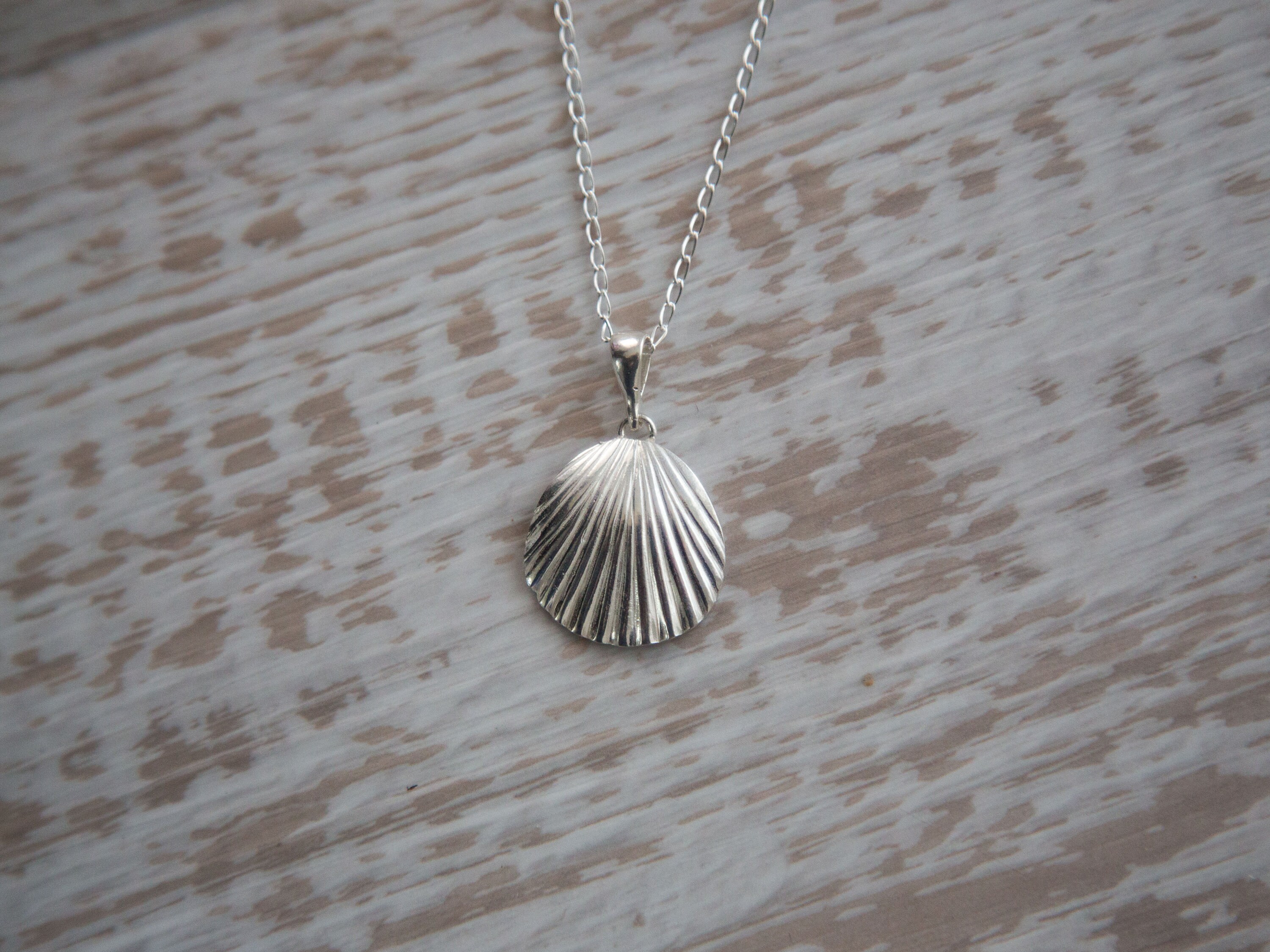 Seashell Pendant Necklace in Sterling Silver, Silver Seashell, Sea ...