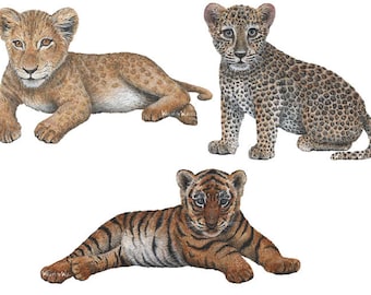 Big Cat Cubs Combo Pack Wall Decals