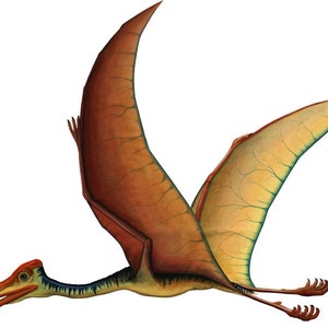 Quetzalcoatl Wall Decal