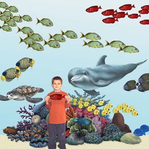 Tropical Coral Reef Sea Life Mural Collection Wall Decal Stickers (8 feet wide x 8 feet tall )
