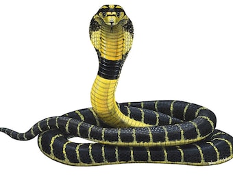 Cobra Wall Decal