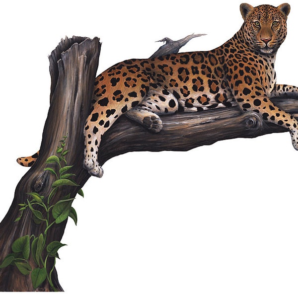 Leopard Wall Decal Etsy