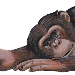 Chimpanzee Wall Decal