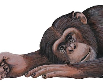 Chimpanzee Wall Decal