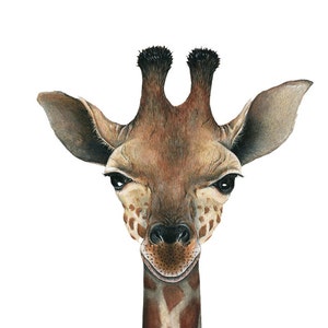 Giraffe Wall Decal