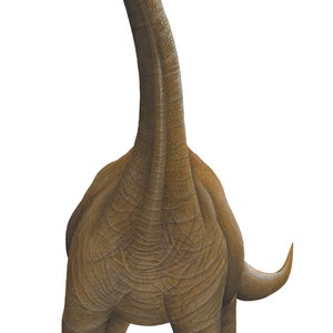 Brachiosaurus Wall Decal