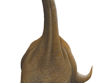 Brachiosaurus Wall Decal